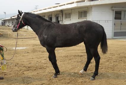 �������� ����