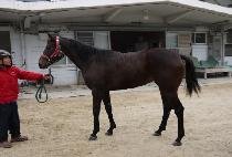 ����Ʈ���� (HAPPY TRAIN) ����