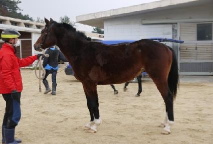 ��������Ÿ ����