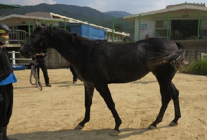 ��ƼǮ�ƽþ� ����