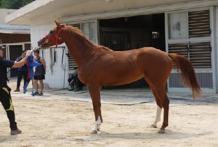 ��û��� ����