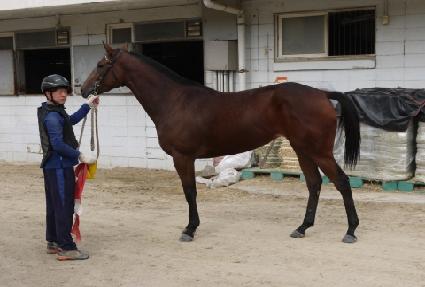 ȭ��Ʈ����ī ����