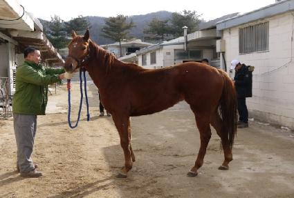 ����ȷ��� ����