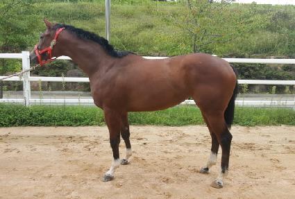 ����̼� ����