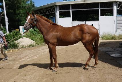 ��ī��ĵ ����