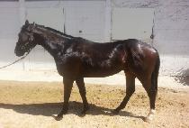 ���ѿ��� (MUHAN YEOLJEONG) ����