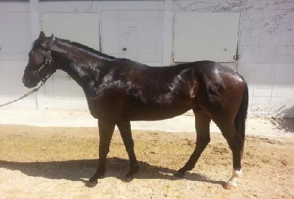 ���ѿ��� ����