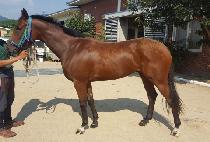 ���ܿ��� (OKDAN YEOGEOL) ����