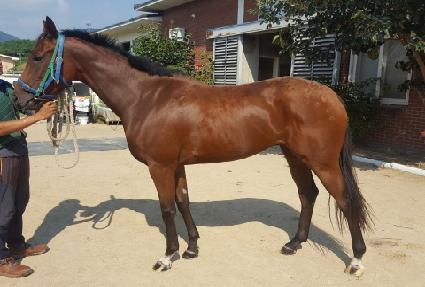 ���ܿ��� ����