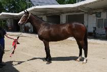 �뼺��� (DAESEONG RUBY) ����