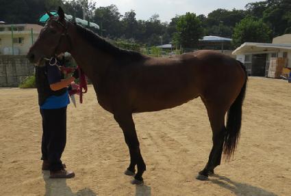 ���ó� ����