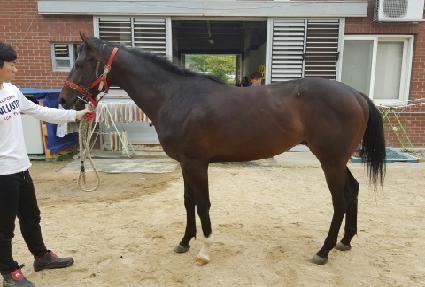 �н�Ʈ����� ����