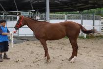 û��� (CHEONGUN NARAE) ����