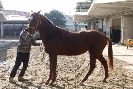 �����ʵ� ����