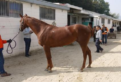 ���̽� ����