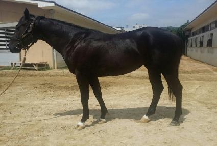 �ְ�������Ʈ ����