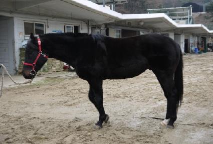 �������� ����