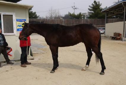 �����è�� ����