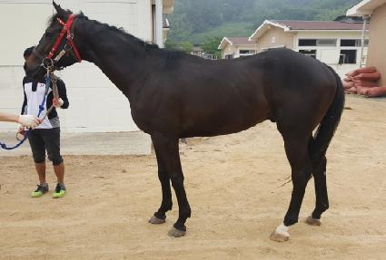 ����������� ����