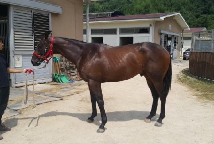 �����ӷ��̽� ����