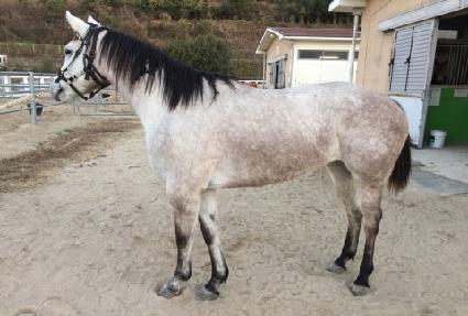 ��ٸ��ϴ� ����