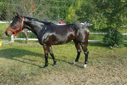 �۽�Ʈ���� ����