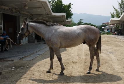 ���ֱ� ����