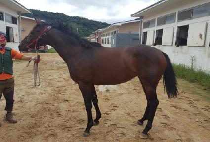 �̽����� ����