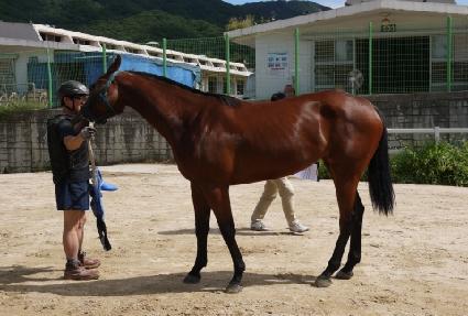 ��Ʋ�ҽÿ� ����