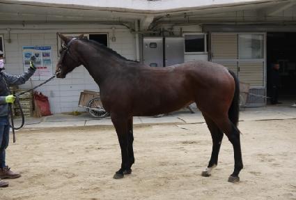 ����Ʈ�� ����