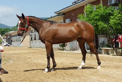 ��彺Ÿ ����