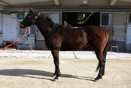 ����ī�� ����