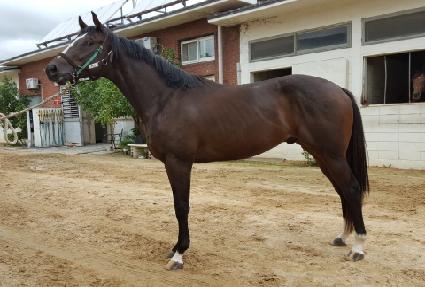 ��翵�� ����