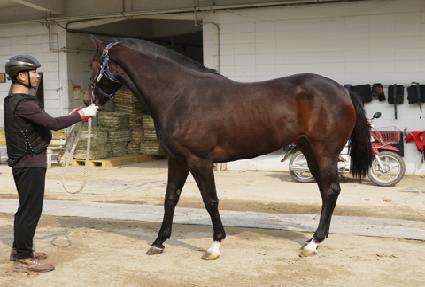 ����ĳ�ù̾� ����