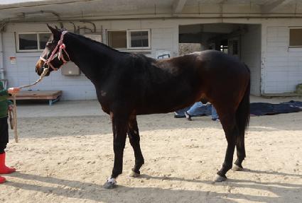 ���ϴ�� ����