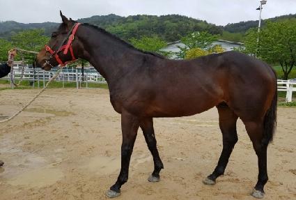 Ÿ�̰Ž��� ����