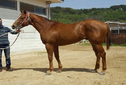 �������� ����