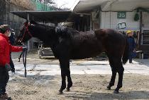 ������ (ONE LEADER) ����