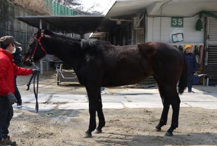 ������ ����