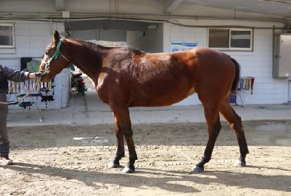 �������� ����