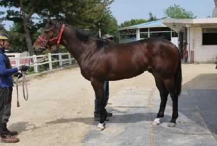 ��� ����