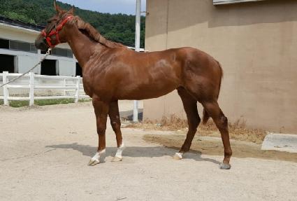 �������� ����