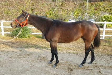 ����ũ ����