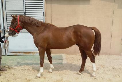 �������� ����