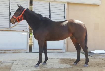 ����� ����