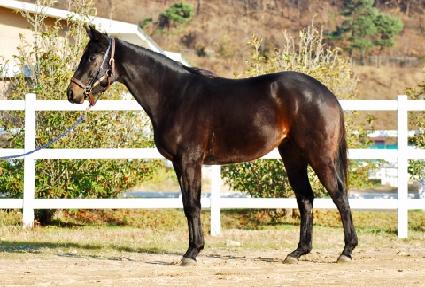 �����Ҵ� ����