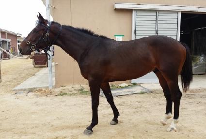 �ο���� ����