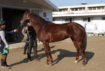 ����Ʈ ����