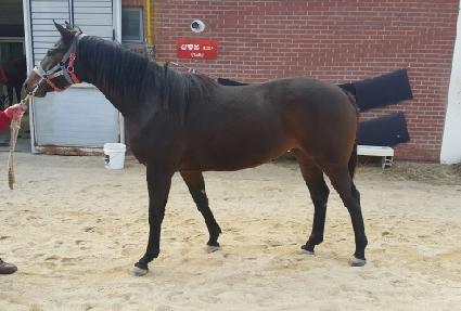 �λ꺼Ʈ ����