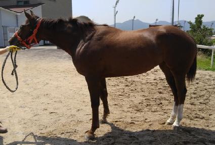 �޺����� ����